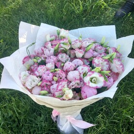 Пион, Лизиантус Эустома, Упаковка