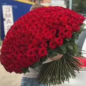 Букет из 301 красных роз.
