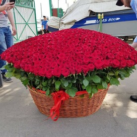 501 розы в корзине