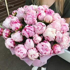 Пион, Упаковка