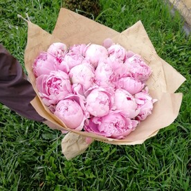 Букет из 17 пионов.