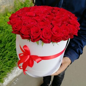 Красная шапочка