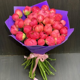 Пионы коралловые