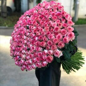 Роза джумилия