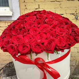 "Бордовый шар"