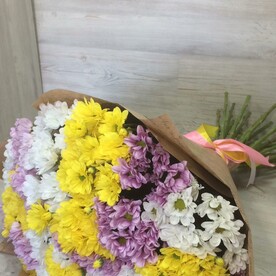 Хризантема микс