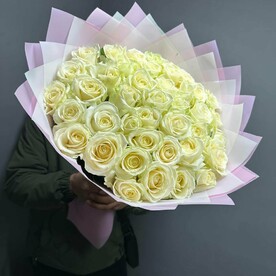 51 белая роза