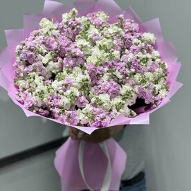 🌼 Подарите волшебство с букетом из 49 маттиол! 🌼