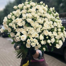 Кустовая Роза 55