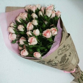 Роза кустовая, Оформление, Открытка