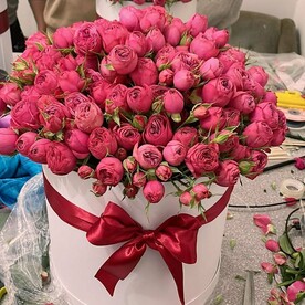 Мисти Бабблс в коробке