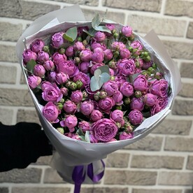 Мисти бабблс