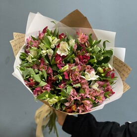 Альстромерия