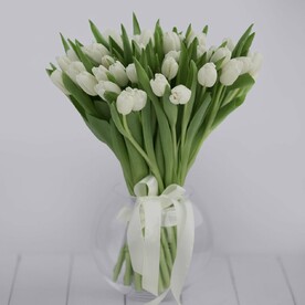 Белые тюльпаны