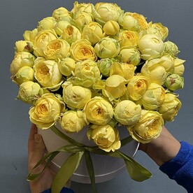 Пионовидные