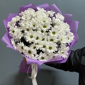 Хризантема