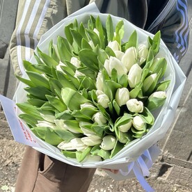 Тюльпаны белые