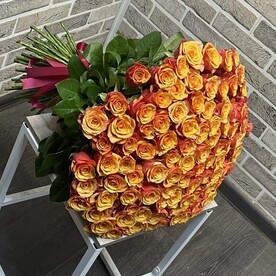 101 Роза Испанская