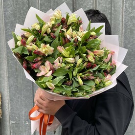 Альстромерия любви