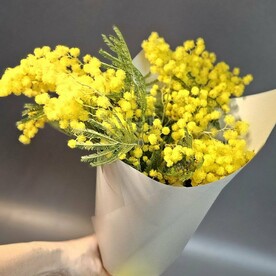 Мимоза в букете, ароматный солнечный весенний для любимых и родных
