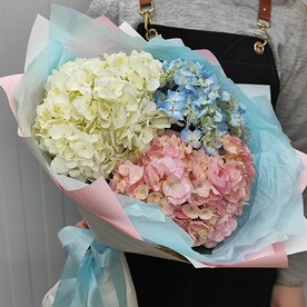 Букет из 3 Гортензий