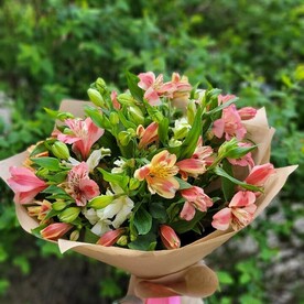 Альстромерия