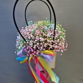 Сумка с гипсофилой