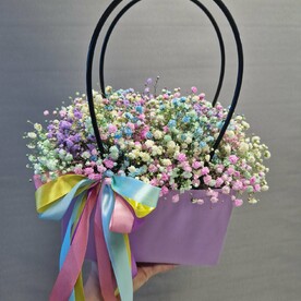 Сумка с гипсофилой