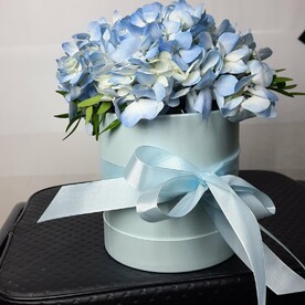 Гортензия в шляпной коробке