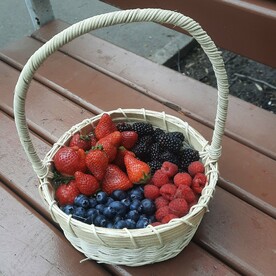 Ягодная корзина №5