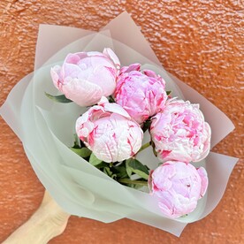 Букет из 5 пионов Сара Бернар