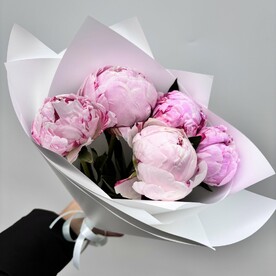 Букет из 5 пионов Сара Бернар