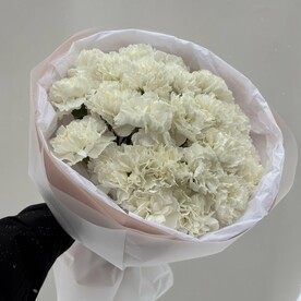 Букет из 17 белых диантусов