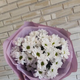 Букет белых хризантем ромашек