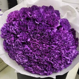 Ажурные диантусы