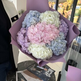 Нежная гортензия