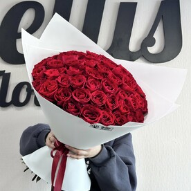 51 ароматная роза