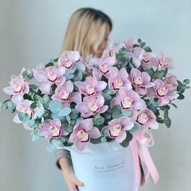 Большая коробка орхидей