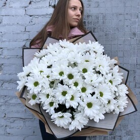 Ромашковый букет хризантем