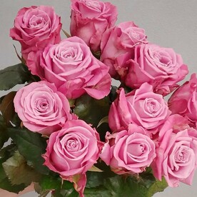 Букет 11 ароматных роз