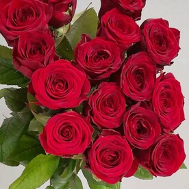 Букет 15 роз под ленту