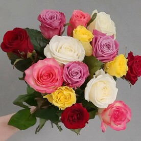 15 роз микс под ленту