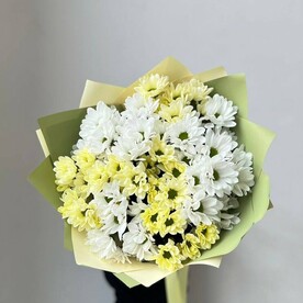 Лимонные и белые хризантемы
