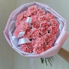 25 розовых диантусов