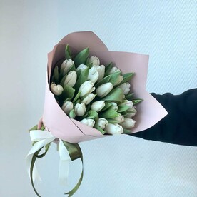 25 белых тюльпанов