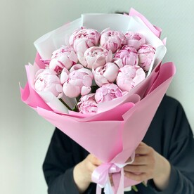 Пионы Сара Бернар 13 штук