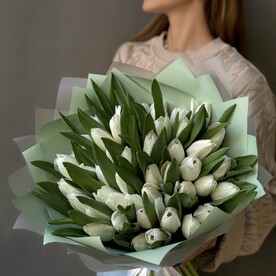 Белые тюльпаны