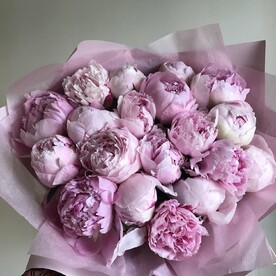 Букет из 21 го розового пиона