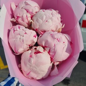 Букет из 5 пионы