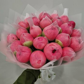 Букет из 25 коралловый пионы